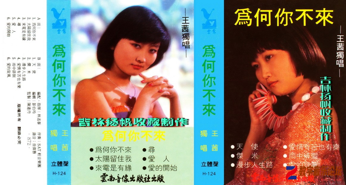 《王茜.为何你不来》.jpg