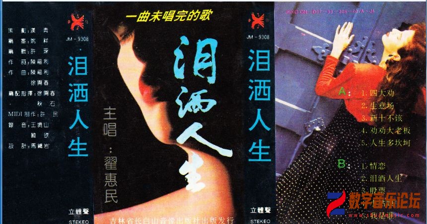 泪洒人生海外版.jpg