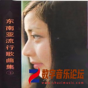 东南亚流行歌曲集 (3).jpg