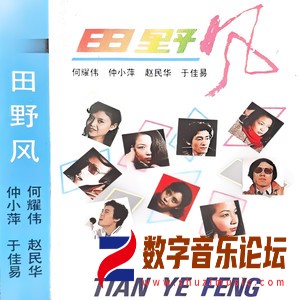 田野风.jpg