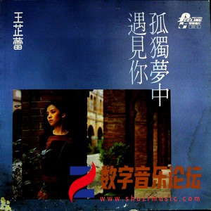 孤独梦中 遇见你（黑胶版）.jpg