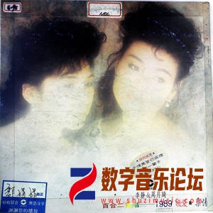 暖夏 柔情（黑胶版）.jpg