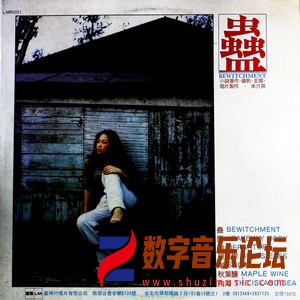 蛊 朱介英小说唱片（黑胶版）.jpg