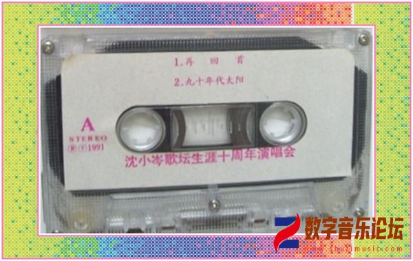 沈小岑歌坛生涯十周年演唱会a.jpg