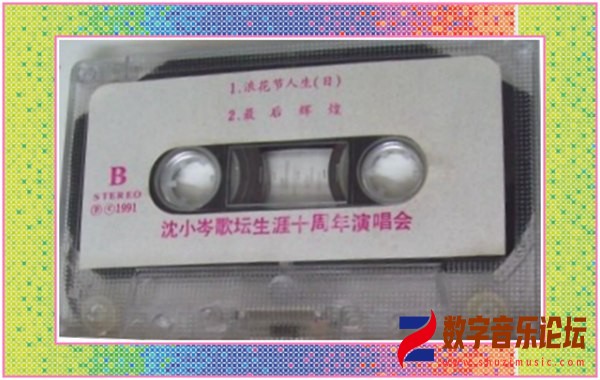 沈小岑歌坛生涯十周年演唱会b.jpg