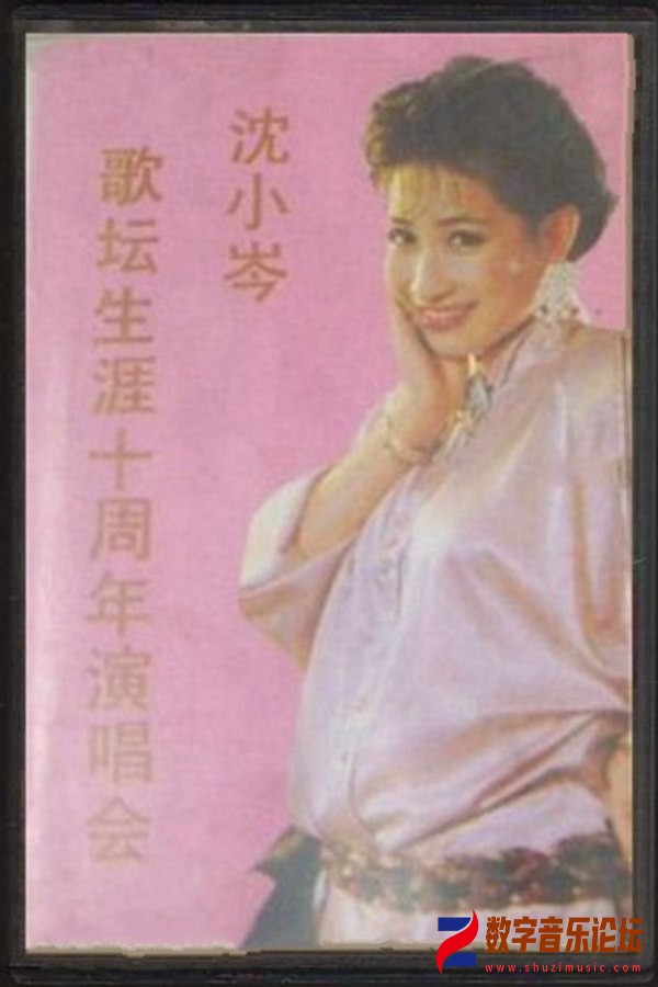 沈小岑歌坛生涯十周年演唱会.jpg