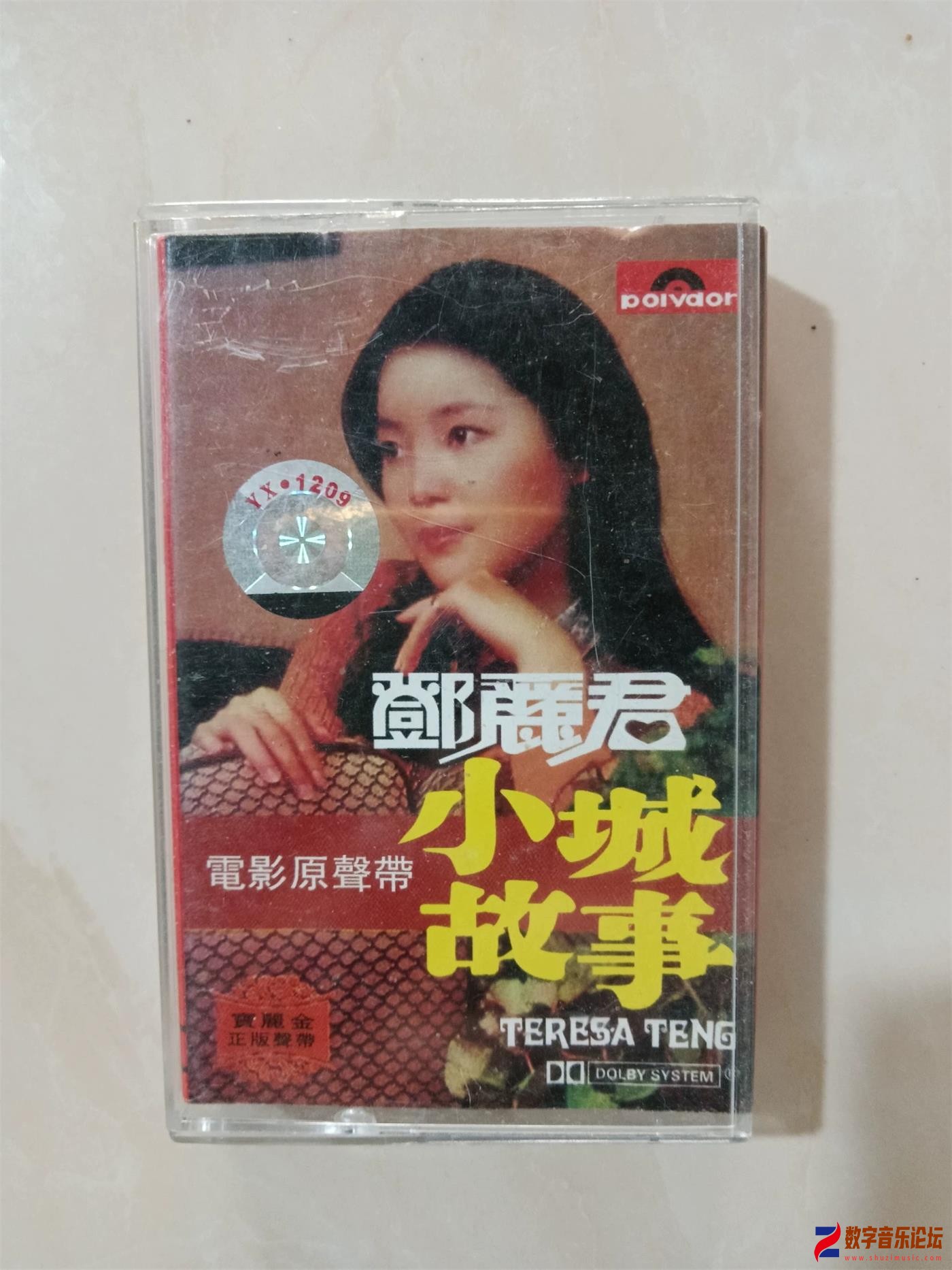 COVER.jpg