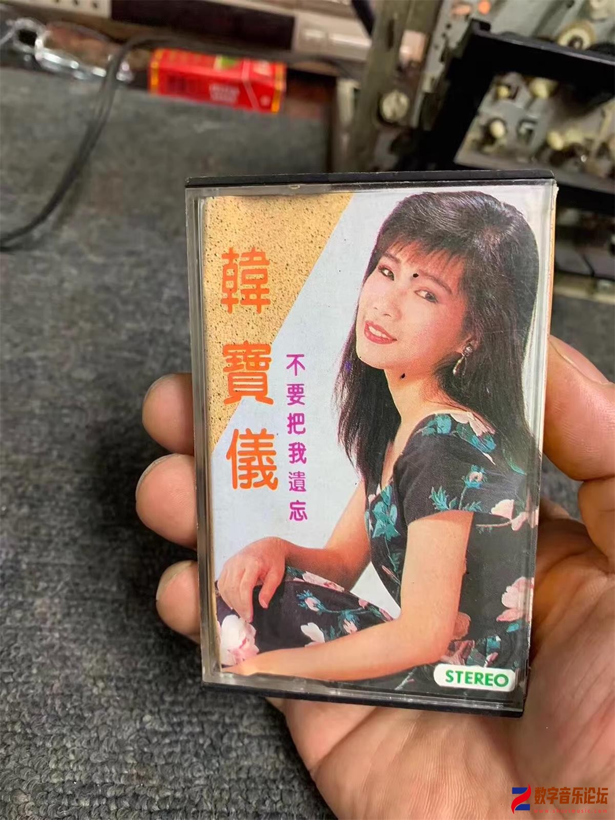 COVER.jpg