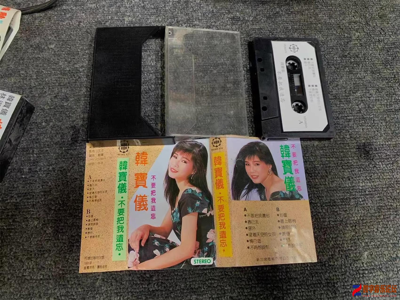 COVER-.jpg